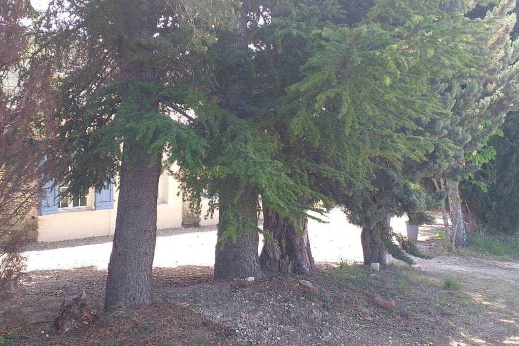 Сasa de vacaciones Nature & Bien-etre Avec Piscine Lincel